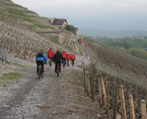 Oeno VTT Yves Degravel Organisation