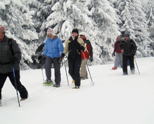 Raquettes à neige Yves Degravel Organisation