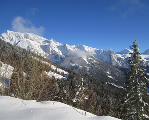 Paysage Baroud - Yves Degravel Organisation